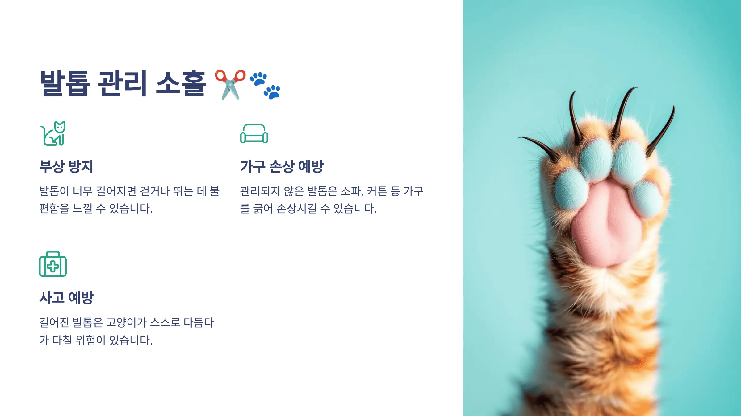 발톱 관리 소홀