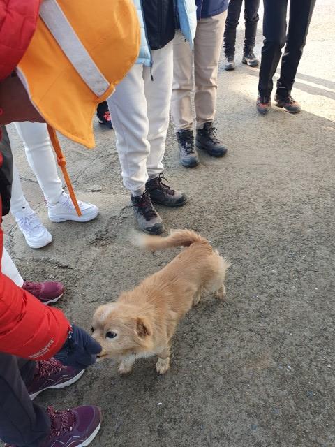 2023. 2. 23. 고흥여행 2