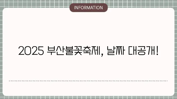 축제 프로그램 정보