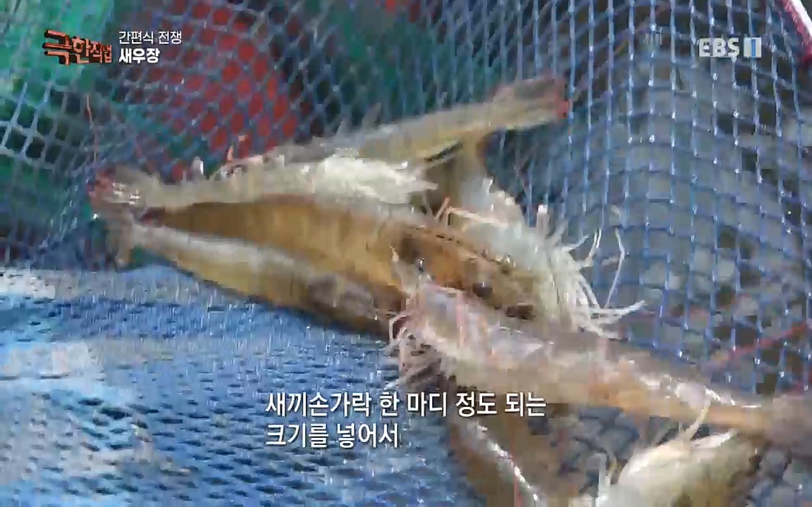 TV - 교육의 중심 EBS간편식 전쟁.mp4_20221002_184843.777.jpg
