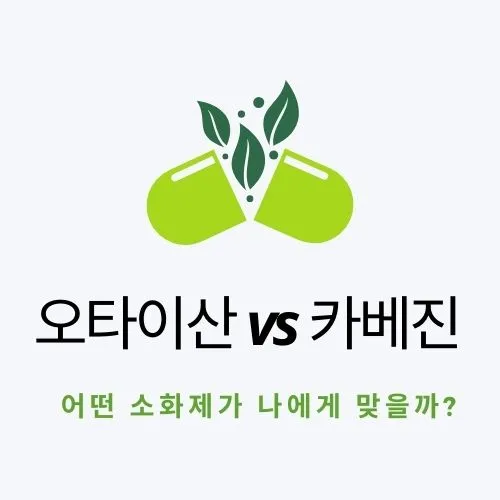  오타이산 vs 카베진 / 어떤 소화제가 나에게 맞을까?