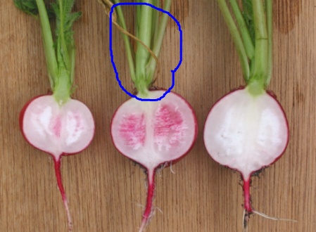  무 효능 흡연자들에게 필요한 이유와 최고의 숙취해소