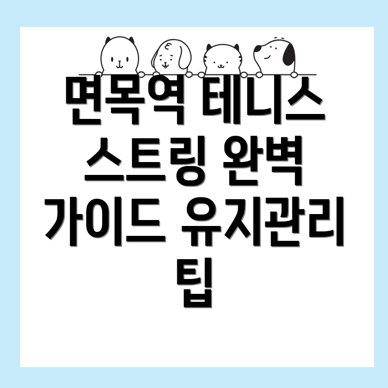 면목역 테니스 스트링