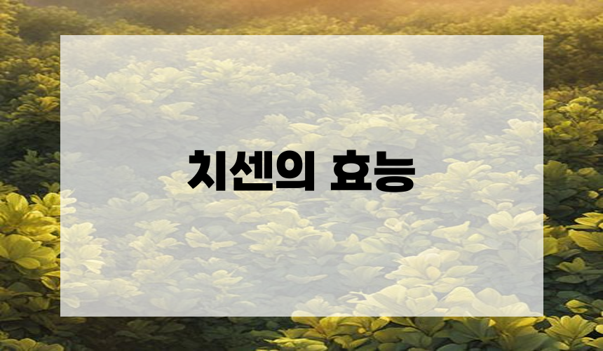 치센의 효능