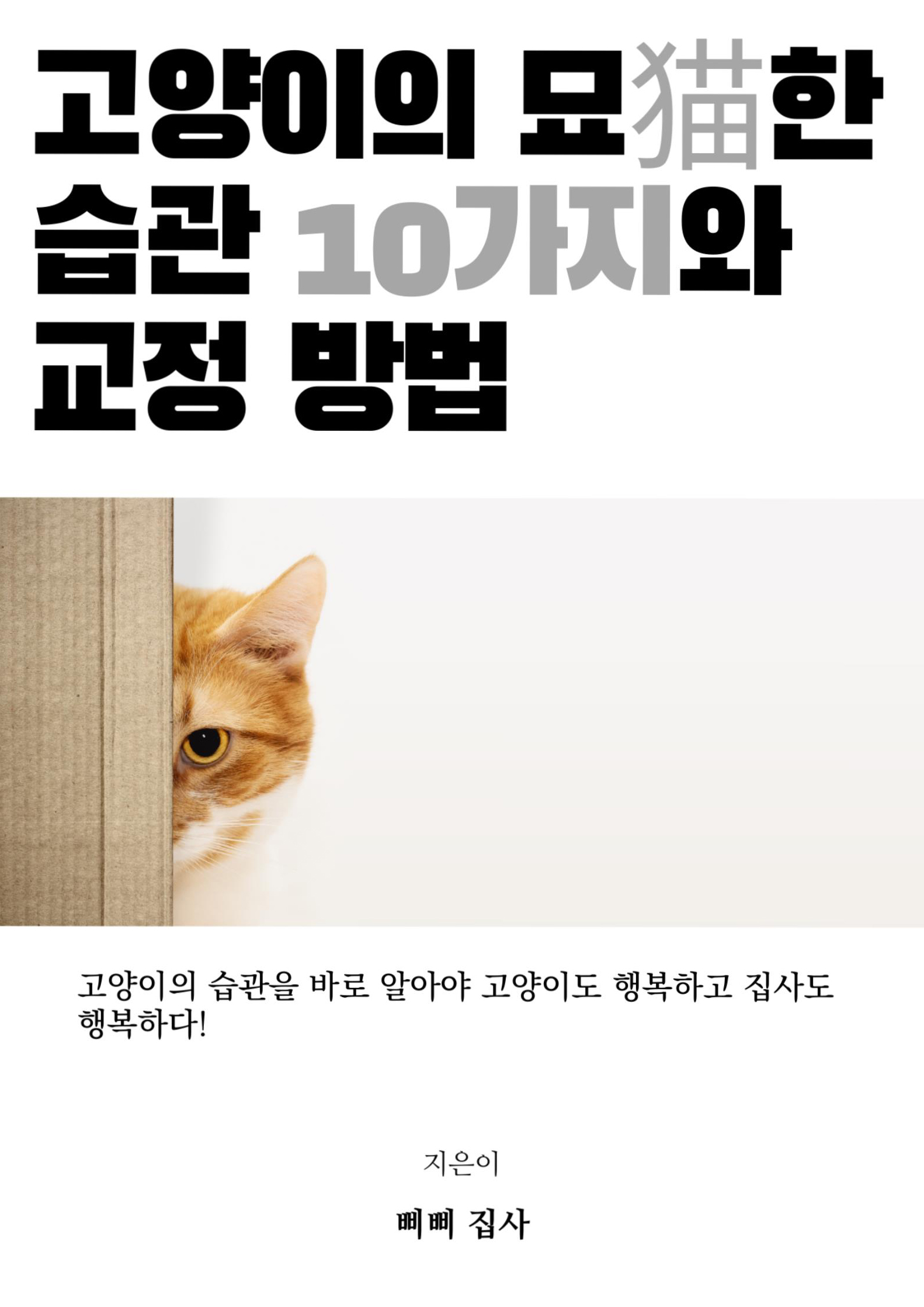  고양이의 습관에 대하여