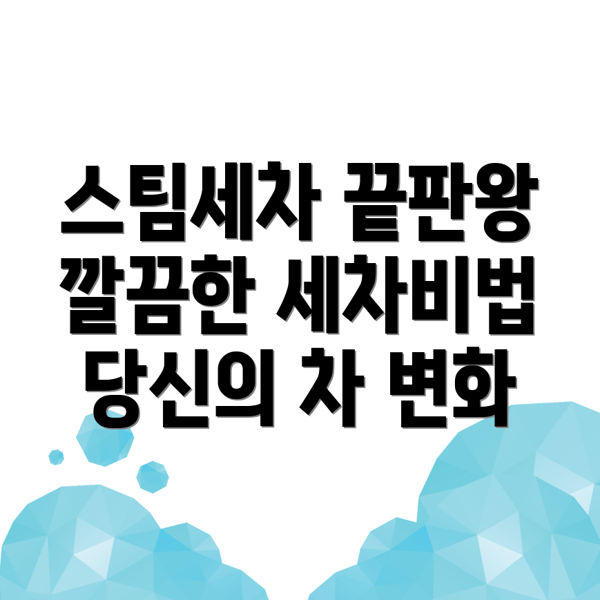 스팀세차