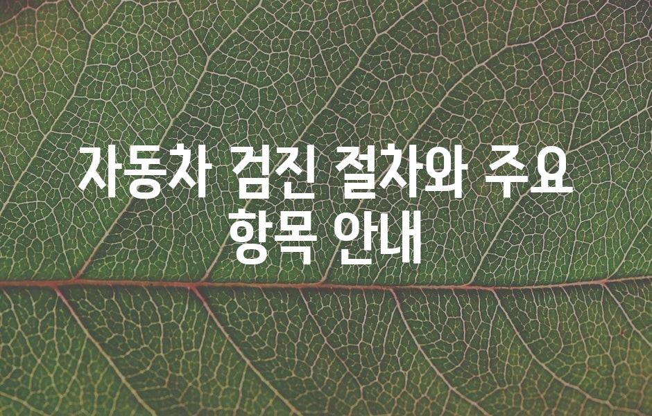 샘플 (43)