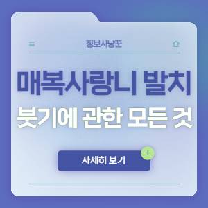 매복 사랑니 추출 붓기