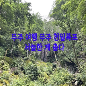  무주 여행 무주 천일폭포 서늘한 게 춥다