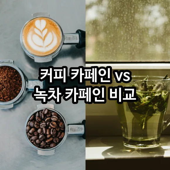 커피 카페인 vs 녹차 카페인 비교