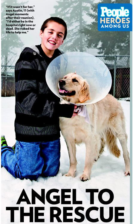  감동 실화 자신의 어린 주인을 지키기 위해 퓨마와 싸운 충견 골든 리트리버(Golden Retriever) 엔젤