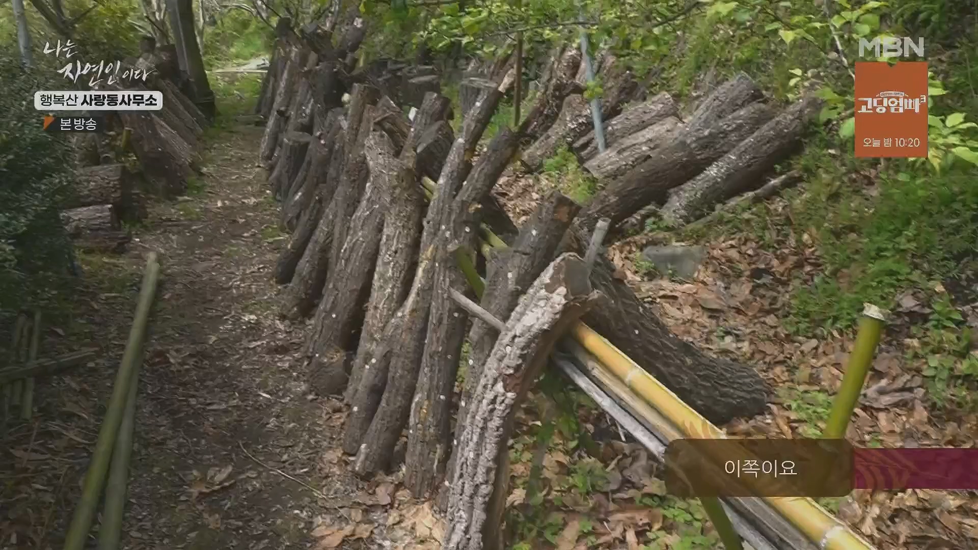 나는 자연인이다.E552.230503p.H264-F1RST.mp4_20230504_200304.919.jpg