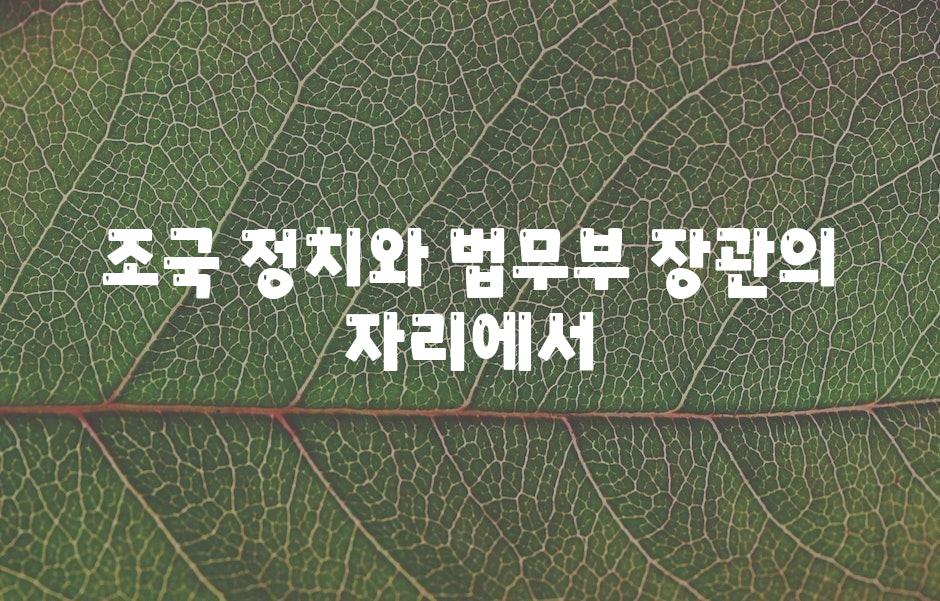 조국 정치와 법무부 장관의 자리에서