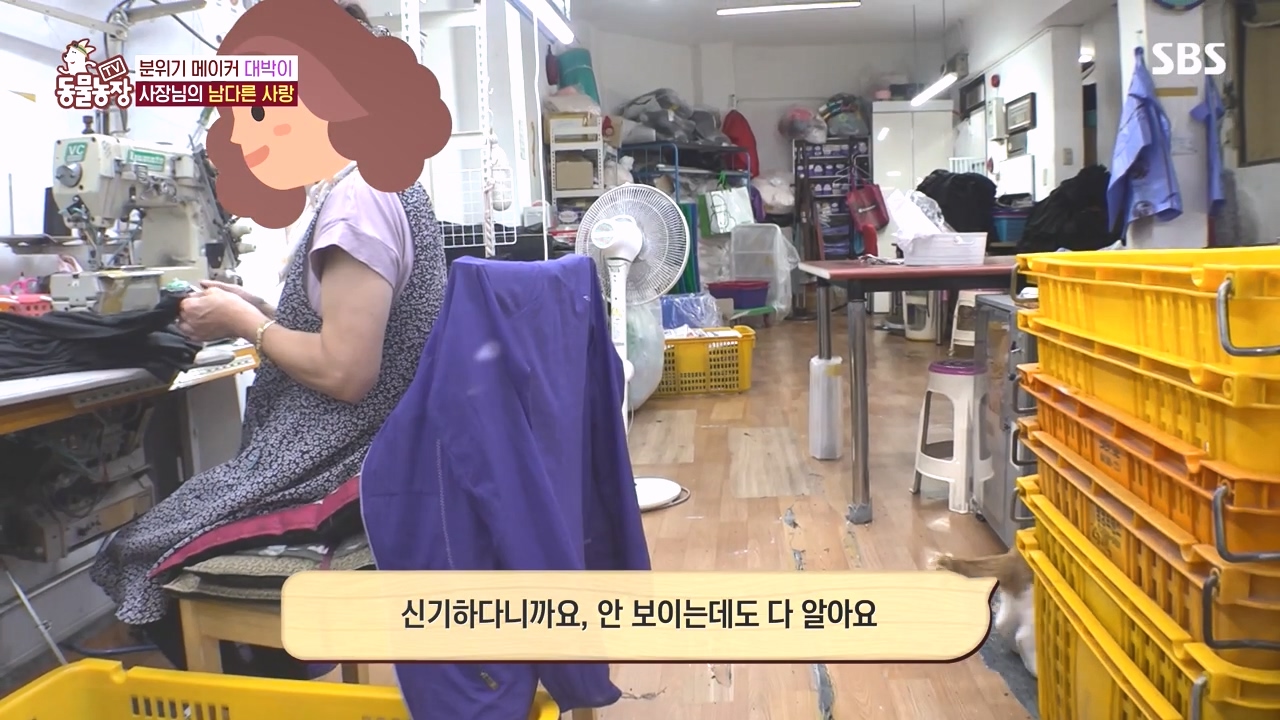 TV 동물농장.E1141.231016p-NEXT.mp4_20231015_174245.071.jpg