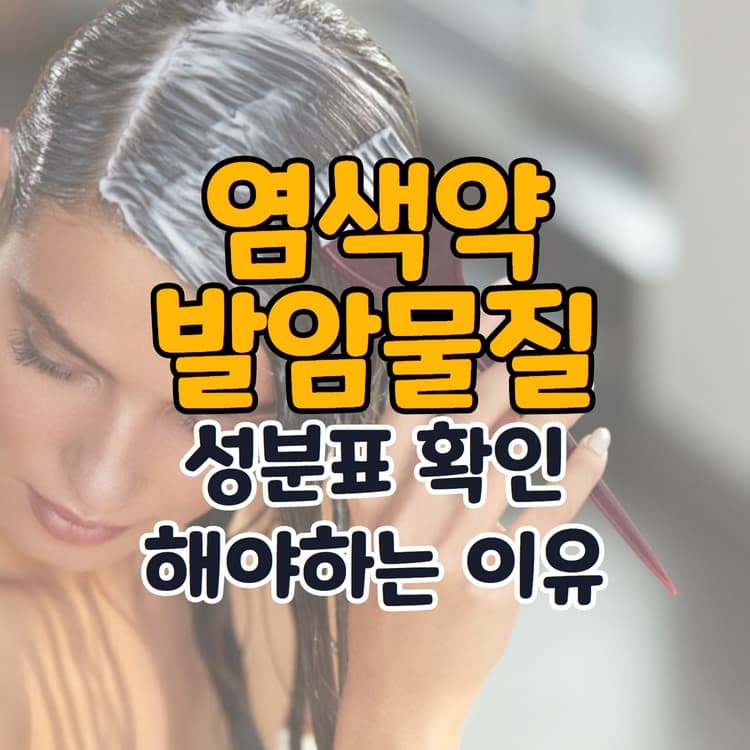 염색하고_있는_여자_이미지