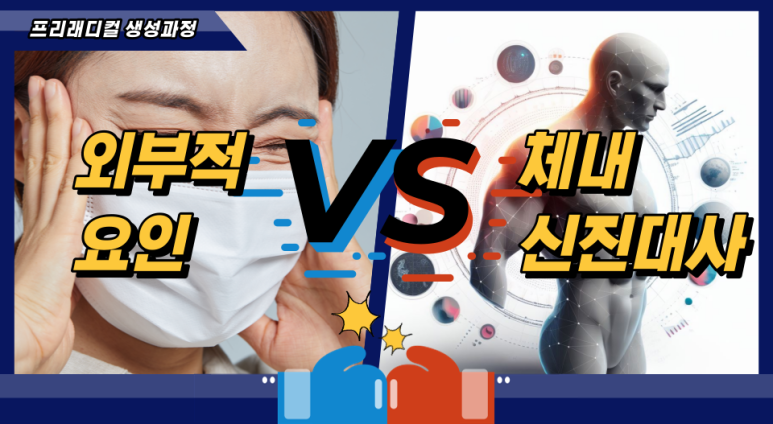 래디컬 이미지