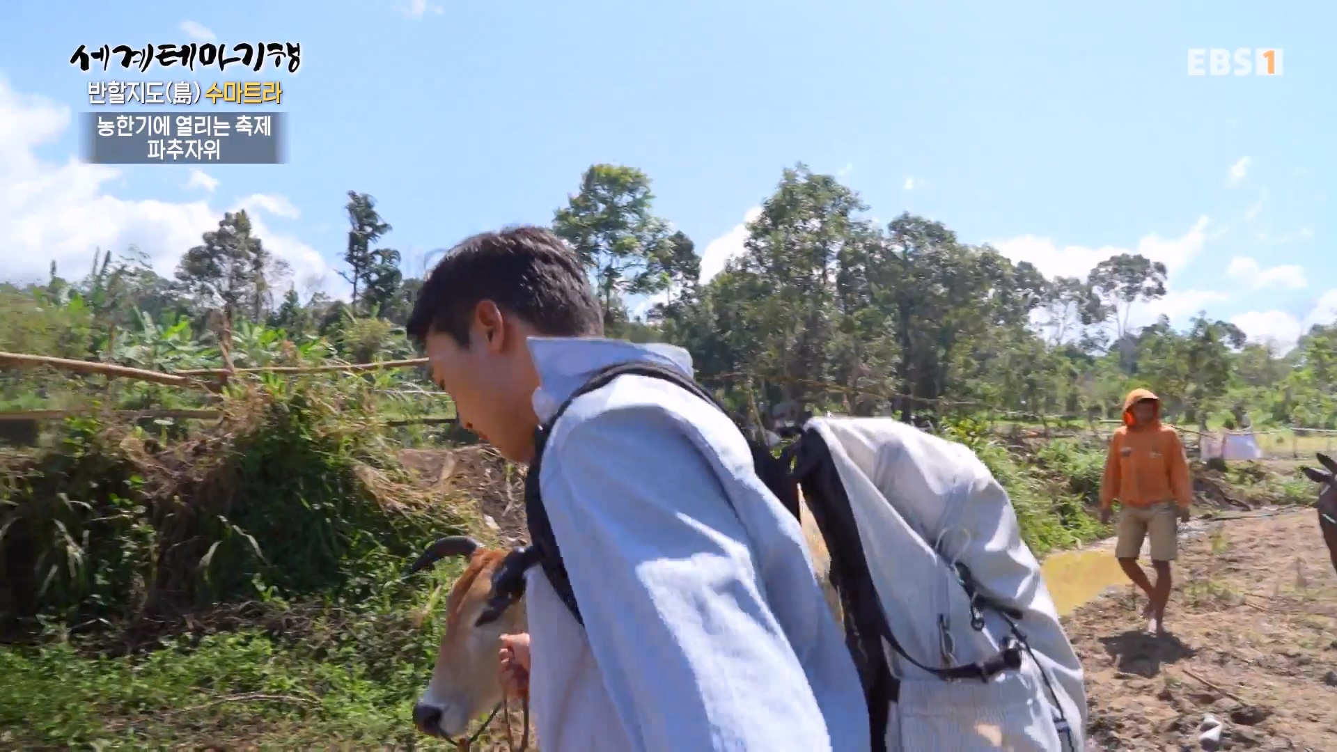 세계테마기행.230803.반할지도(島) 수마트라-4.미낭카바우에 반하다.mp4_20230820_131546.450.jpg