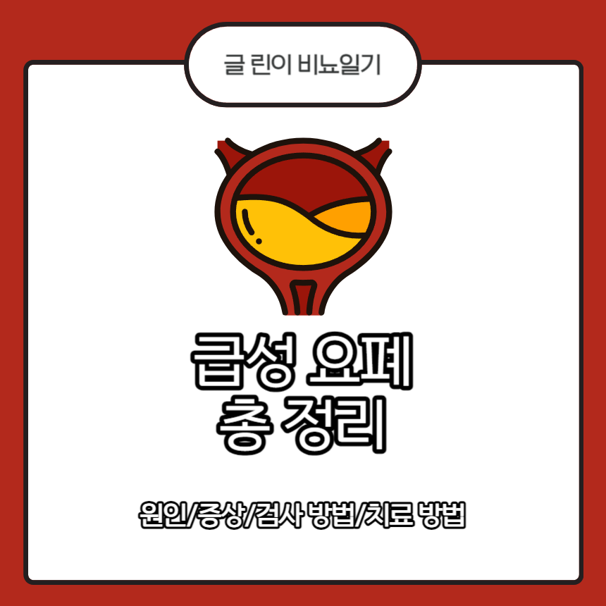  급성 요폐 총 정리