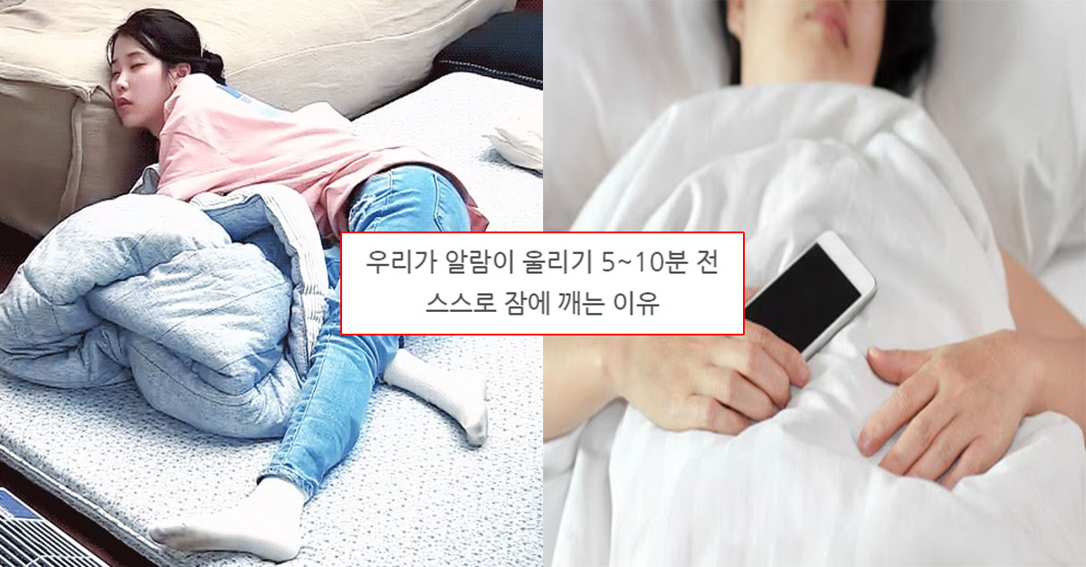  우리가 알람이 울리기 5~10분 전스스로 잠에 깨는 이유