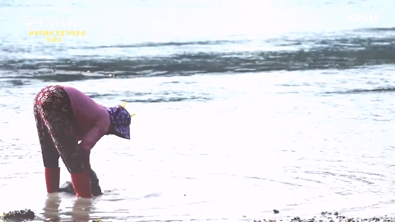 동네 한 바퀴.E243.231015p-NEXT.mp4_20231015_183703.136.jpg