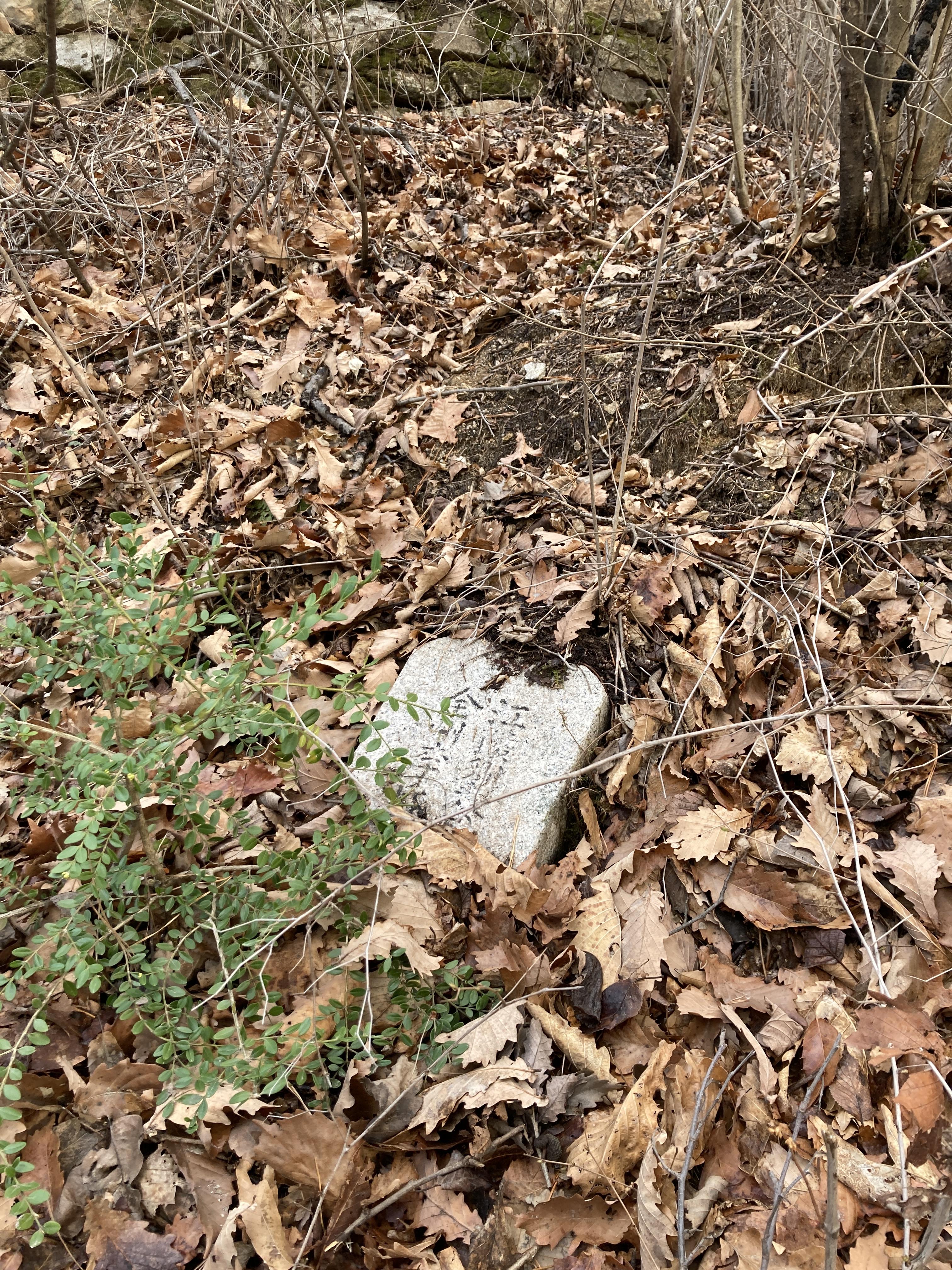 시원하고 바삭바삭 13