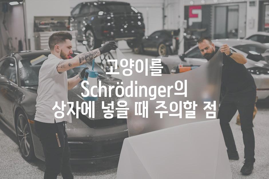 고양이를 Schrödinger의 상자에 넣을 때 주의할 점