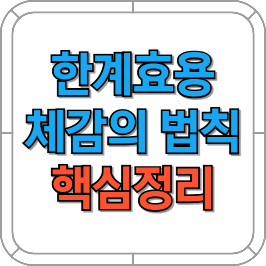 한계효용체감의 법칙