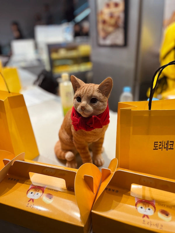 수원 광교 갤러리아 백화점 지하 토라네코 팝업 매장의 또 다른 고양이 피규어