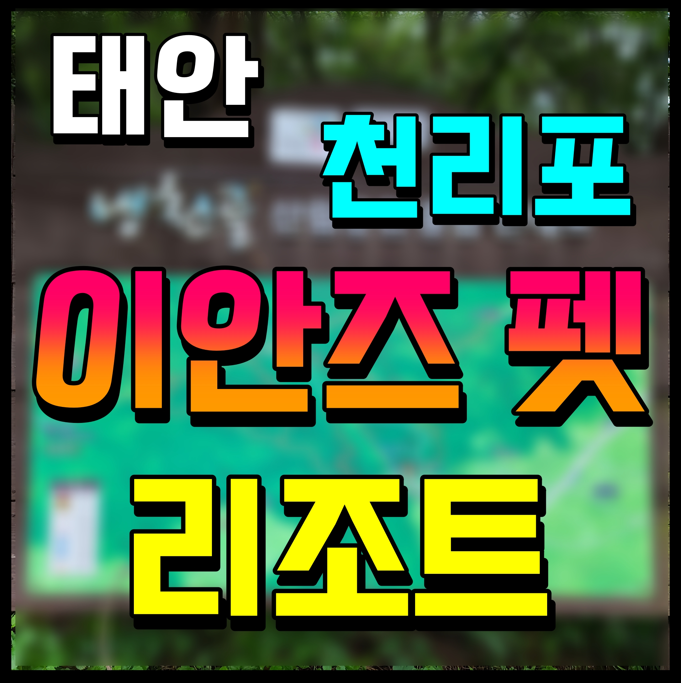  태안 이안즈펫 리조트 천리포 해수욕장 도보 2분 거리