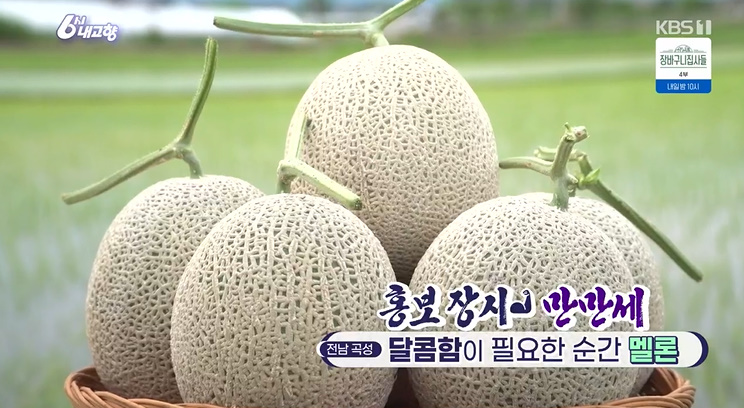 곡성멜론 이미지