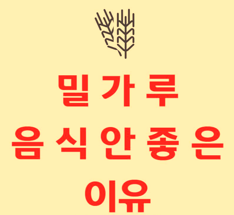  밀가루 음식이 안좋은 이유 알아봅시다