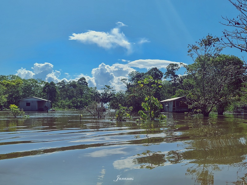 Amazon River 11