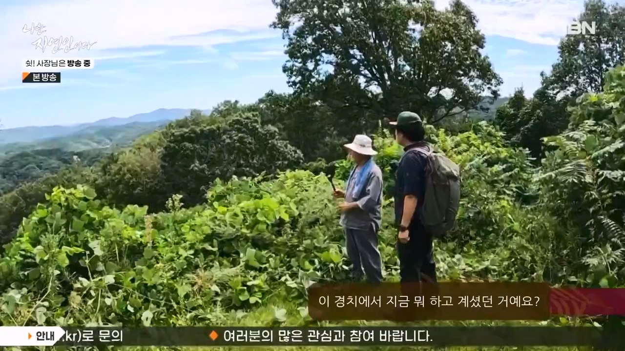 나는 자연인이다.E573.230928p-NEXT.mp4_20230929_174815.924.jpg