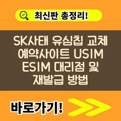 SK사태 유심칩 교체 예약사이트 USIM ESIM 대리점 및 재발급 방법