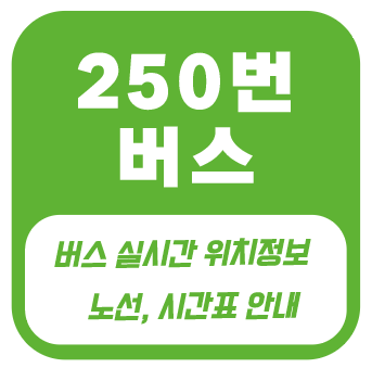 250번버스
