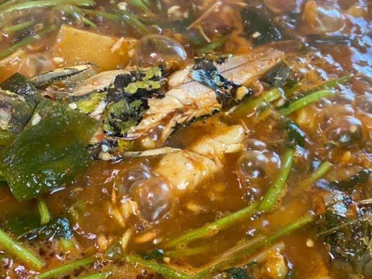 생생정보 괴산 매운탕 맛집 위치 및 정보(괴산 민물매운탕 맛집)