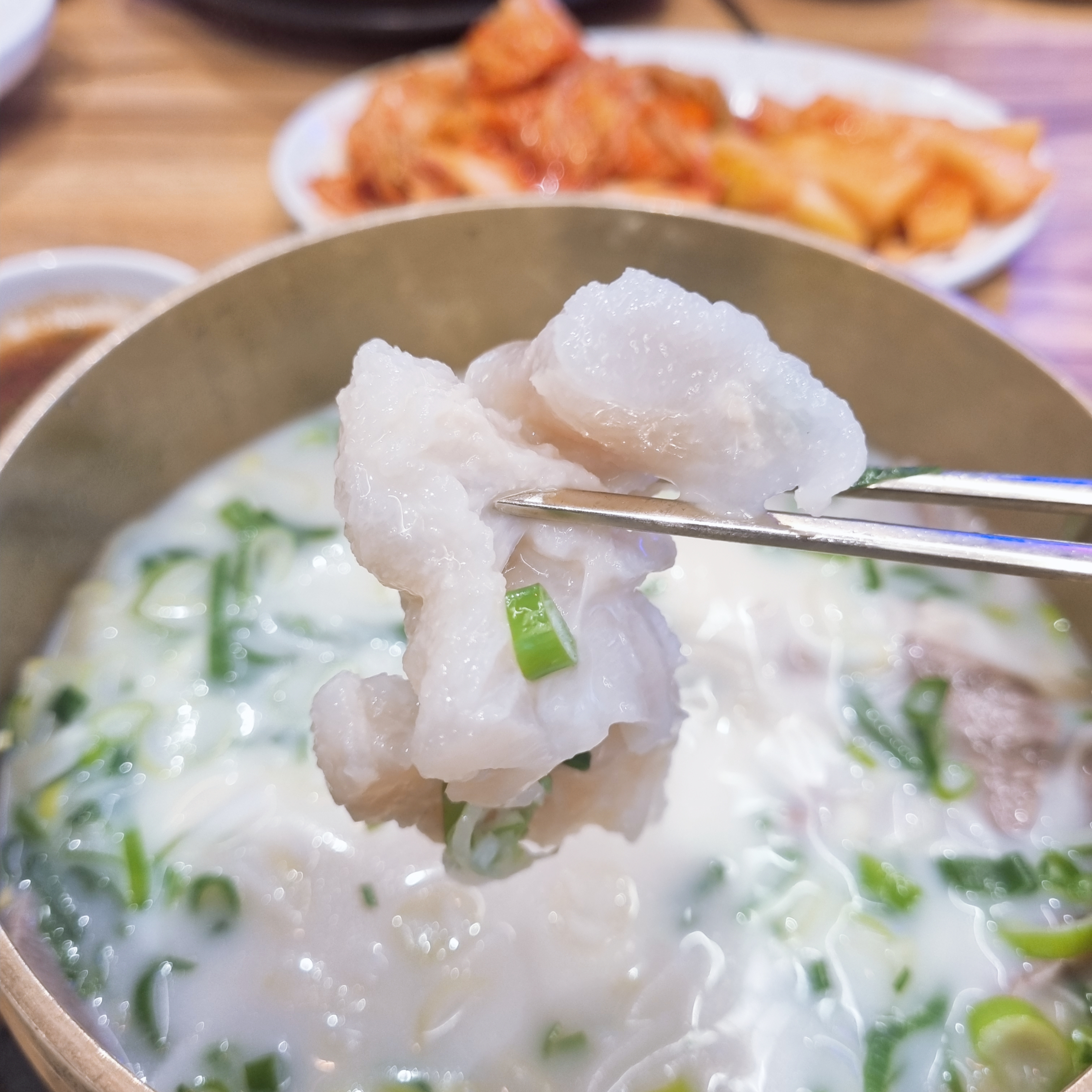 #청담동맛집#설도탕 본가설렁탕 도산대로점