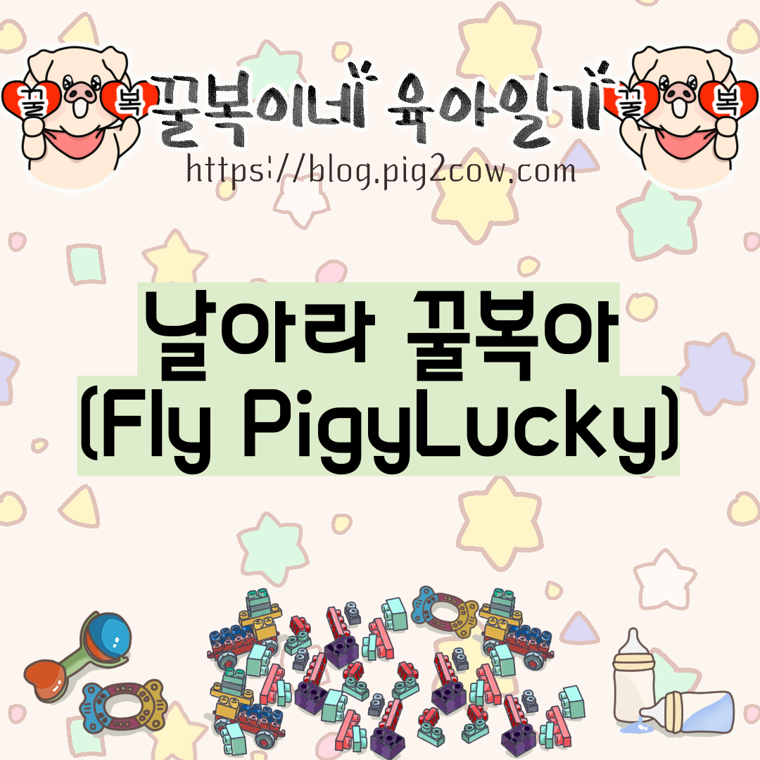  꿀복이네 육아일기 #67 날아라 꿀복아(Fly pigylucky)