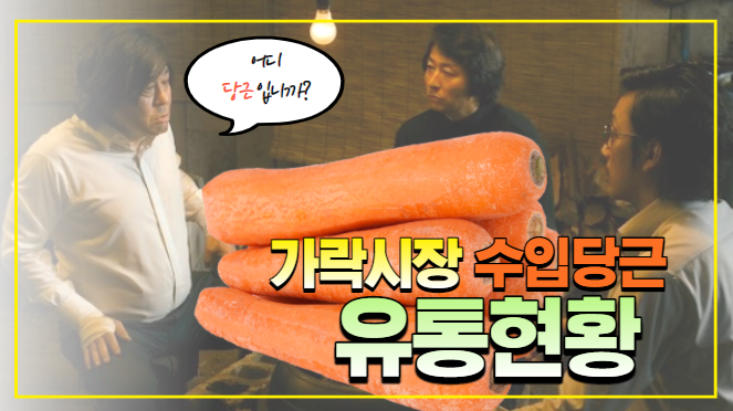  실례합니다. 어디 당근 입니까?(가락시장 수입당근 유통현황)