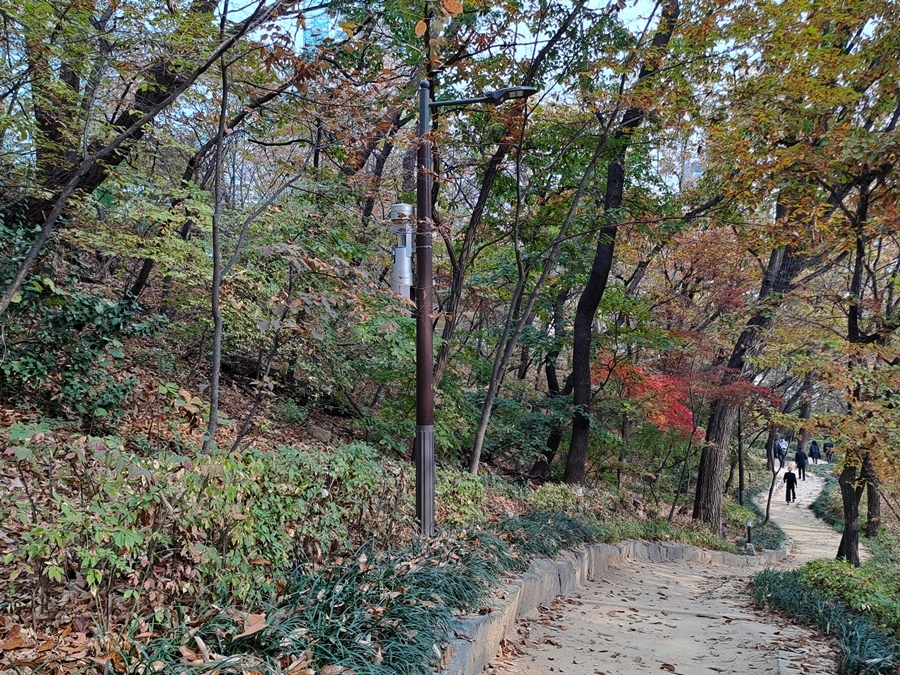 명상길_06
