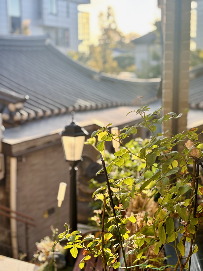 삼청동 루프탑 카페 cafe 골목숲