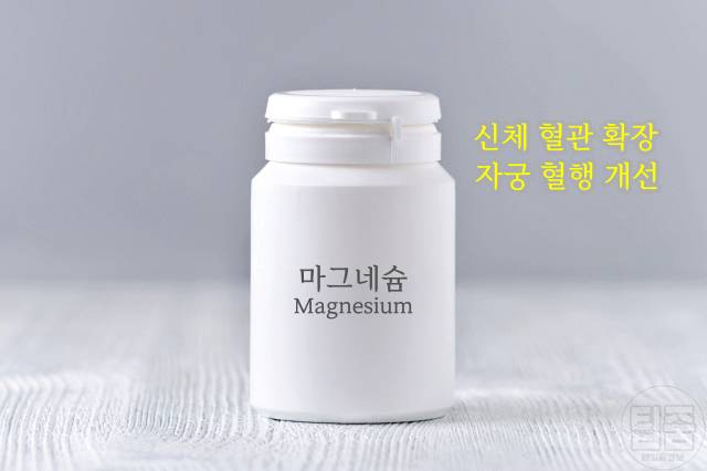 자궁에 좋은 영양제 마그네슘 추천