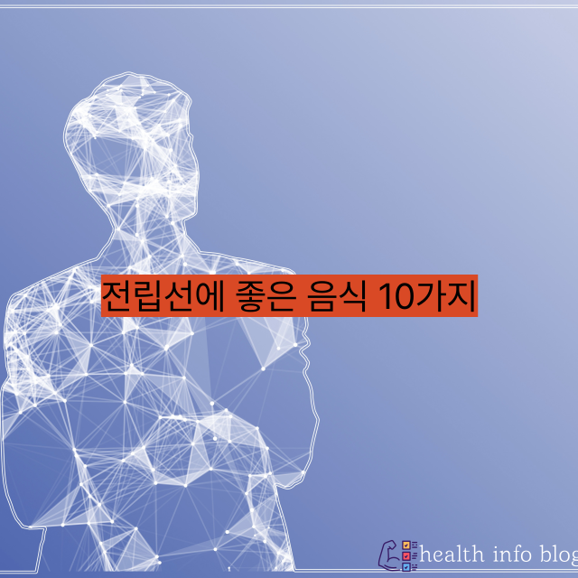 전립선에 좋은 음식 10가지｜남성 건강을 지키는 식단 가이드
