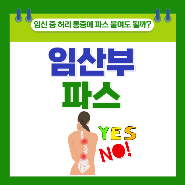  [임산부 파스] 임신 중 허리 통증에 파스 붙여도 될까?