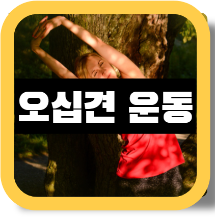 60대 오십견 스트레칭