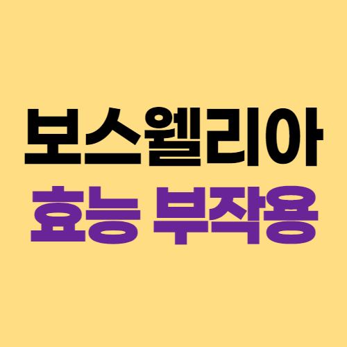  보스웰리아 효능 보스웰리아 먹는방법