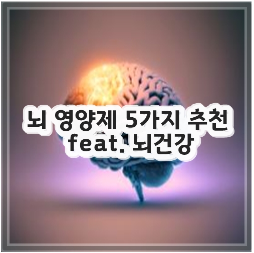 뇌 영양제 5가지 추천 feat. 뇌건강