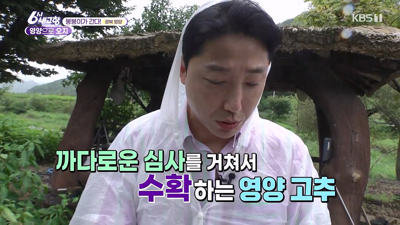 6시 내고향.E7878.230912p-NEXT.mp4_20230918_203955.199.jpg