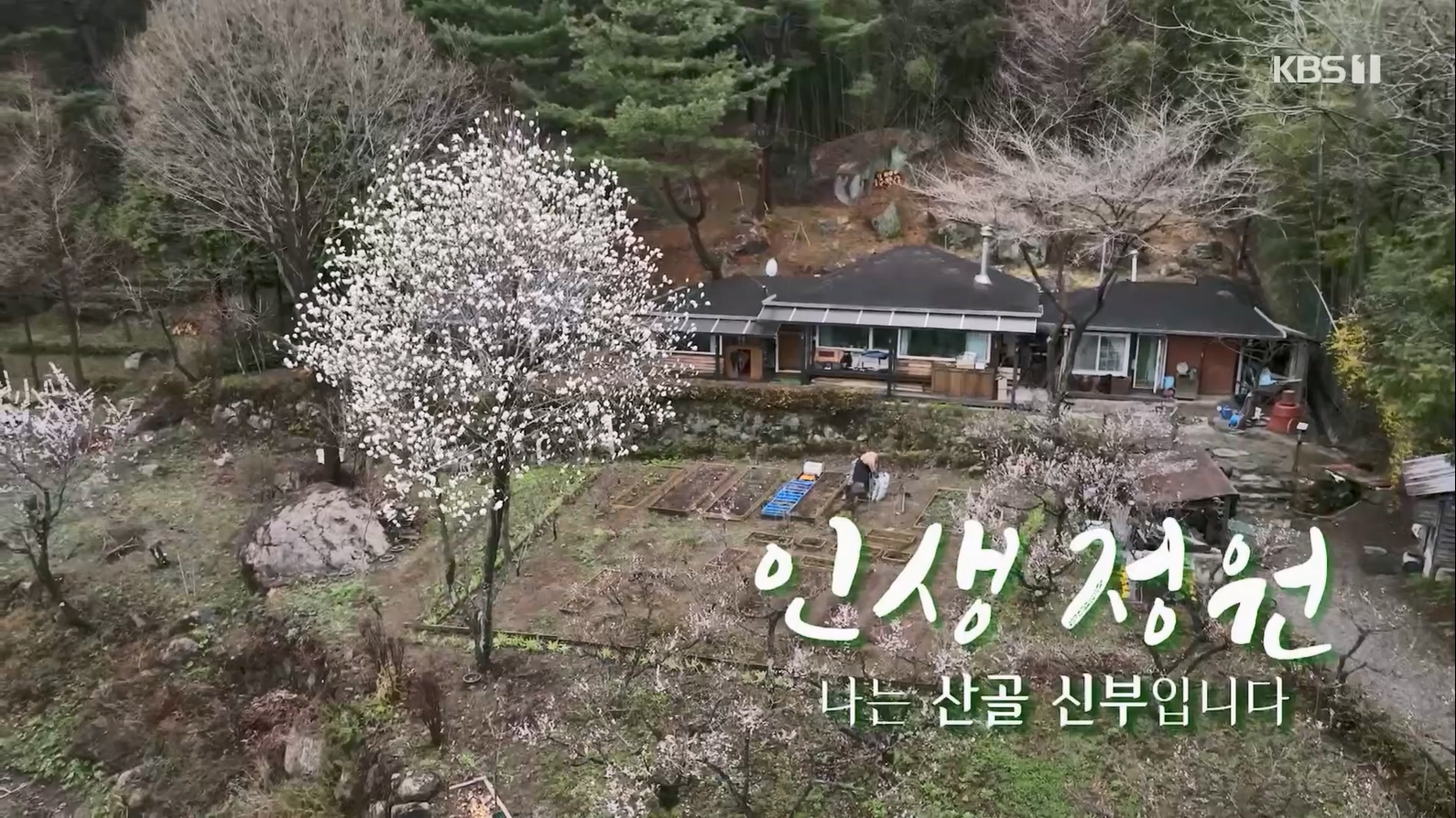 다큐 인사이트.E153.230608p.H264-F1RST.mp4_20230612_202236.519.jpg