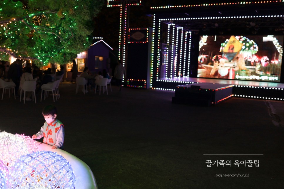 경북 축제 경북 아이와가볼만한곳 청도 36